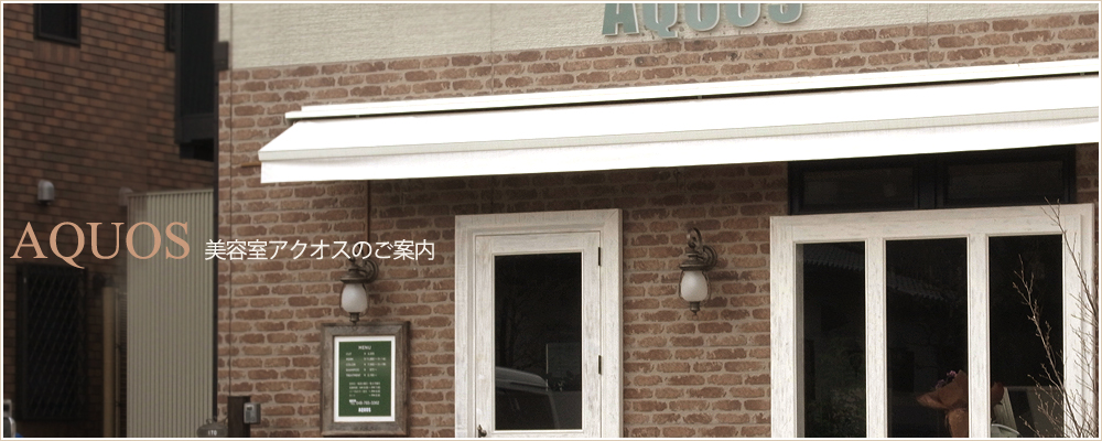 美容室 スタッフのご紹介 蓮田市の美容室 美容院アクオス